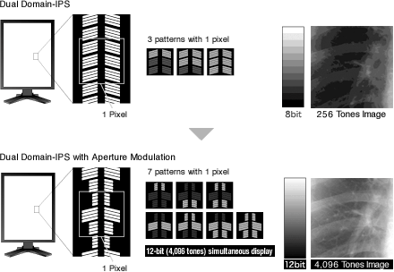 12-Bit Simultaneous Grayscale Display