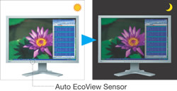 Auto EcoView Sensor
